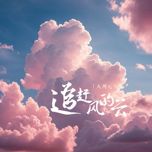 追赶风的云