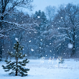 雪别停