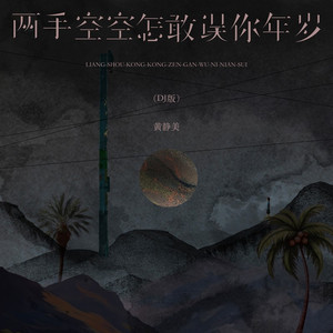 两手空空怎敢误你年岁 (DJ版)