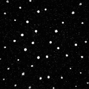 Mr Divine (feat. Baad Beats)