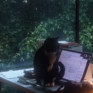 ✦ ⋆* ✧ ⋆ Per aspera ad astra ⋆ • ☽ * ⋆ ✦