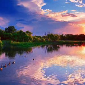 天地似无情（猫猫）