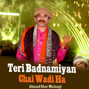 Teri Badnamiyan Chai Wadi Ha