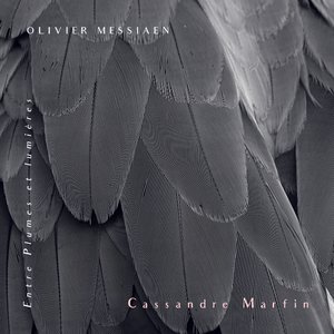 Catalogue d'oiseaux, 7e livre: XIII. Le courlis cendré