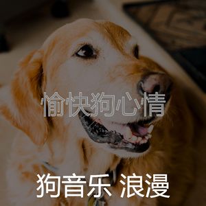 安静的小狗声音