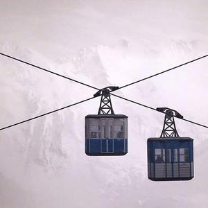 物种进化（Demo）