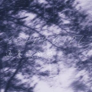 Sorry, 还是没能够