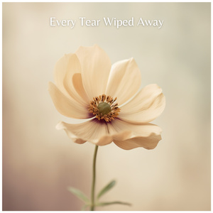 Every Tear Wiped Away