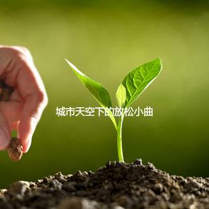 Unique Ambience for Finding Creativity Inside