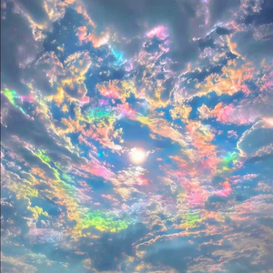 你的名字 是我喝醉后才敢喊的秘密