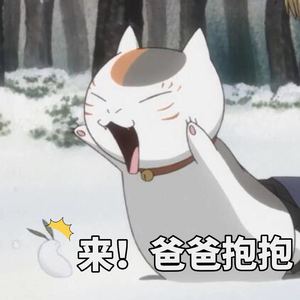 Work Hard Play Hard