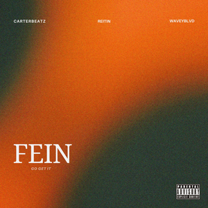 FEIN (GO GET IT)