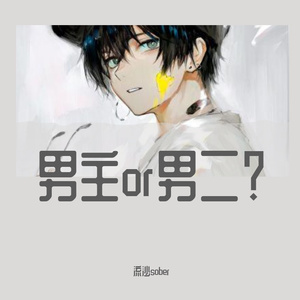 摘星记（帅气男声版）