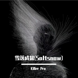 雪落成盐(Saltsnow)