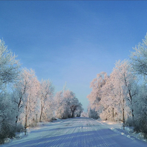 Canon in D Major (Electrophonic Edition)