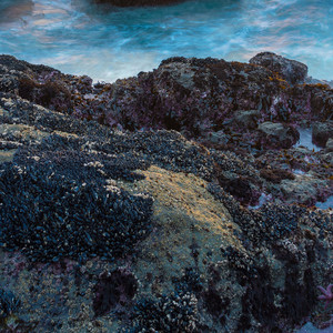 音乐一响感觉夏天到了