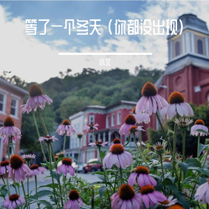 等了一个冬天 (你都没出现)