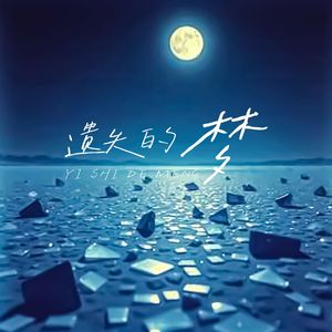 遗失的梦