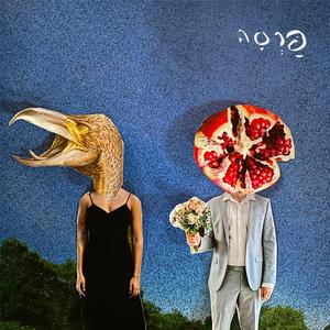 פַּרְסָה