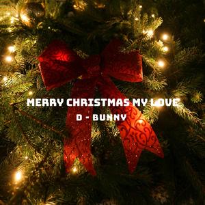 Merry Christmas My Love