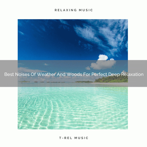 Beautiful Noises Of Weather And Animals For Perfect Deep Sleep