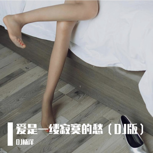 爱是一缕寂寞的愁（DJ版）
