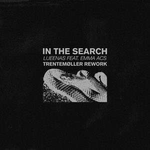 In the Search (trentemøller rework)