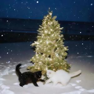 【Free】“陪你过圣诞” RnBxSoulxHook Type Beat