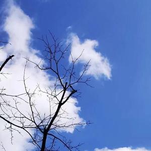 朝来寒雨几回眸