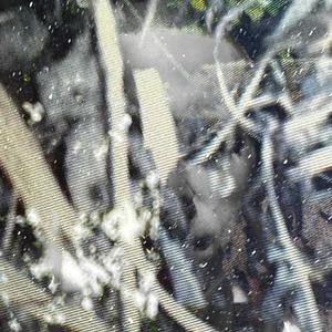 produit de l’environnement