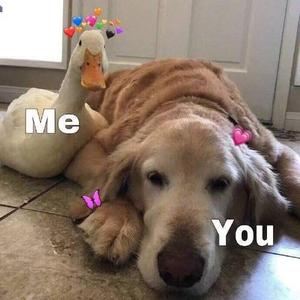 不知道叫撒子名儿的情歌(prod by Red killer)