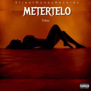Metertelo