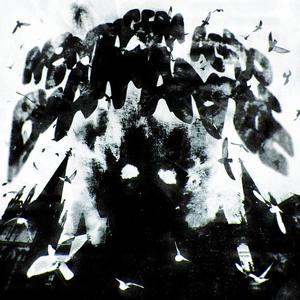 MONTAGEM ACIDO DIAMANTE