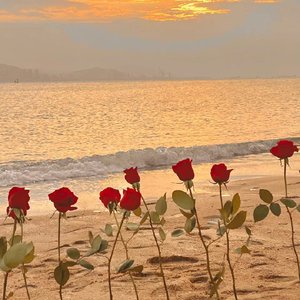 成长孤独(Prod EVOMUSIC)