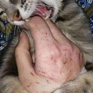 Stereo (feat. Execrate)