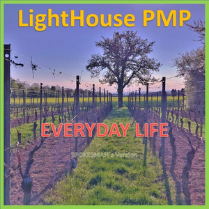 Everyday Life (Spokesman´s Version)