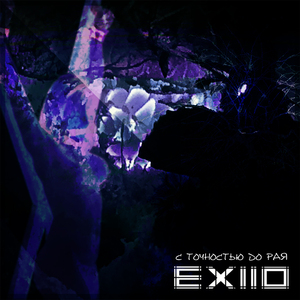 В агонии за идеалом