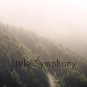 Little Symphony
