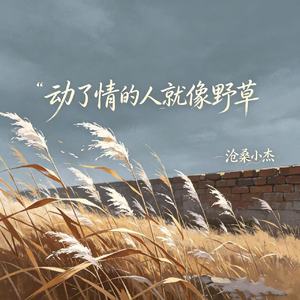动了情的人就像野草(爱不到也忘不了)