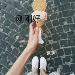 鸽子情缘 (DJ版)