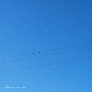 Cadência (2022 Mix)