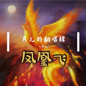 凤凰飞