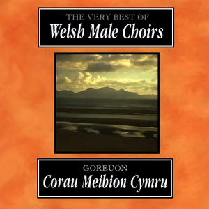 With A Voice Of Singing