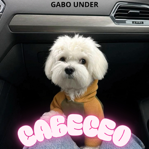 Cabeceo