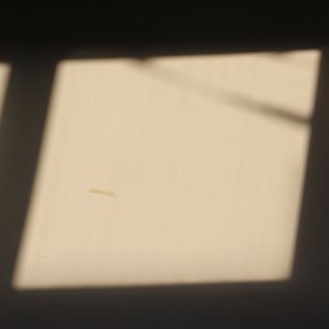 再见或许已非少年