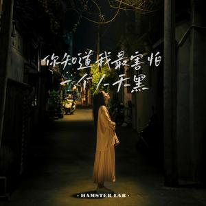 你知道我最害怕一个人天黑 - R&B氛围女版