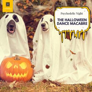 Svetambara (Ethnic EDM Psy Trance)