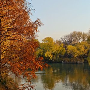 勇气是人类的赞歌