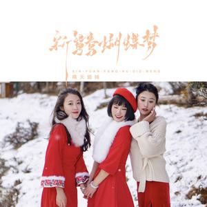 新鸳鸯蝴蝶梦 (手鼓版)