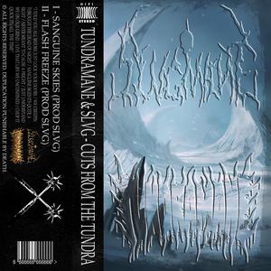 SANGUINE SKIES (feat. TUNDRAMANE)